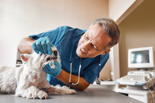 Best Emergency Broken Tooth Repair in Lockland, OH